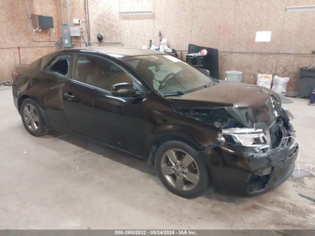 KIA FORTE KOUP 2011 knafu6a23b5319199