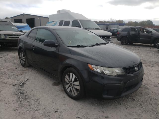 KIA FORTE EX 2013 knafu6a23d5688194