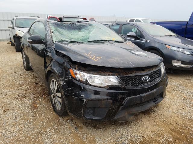 KIA FORTE EX 2013 knafu6a23d5744750