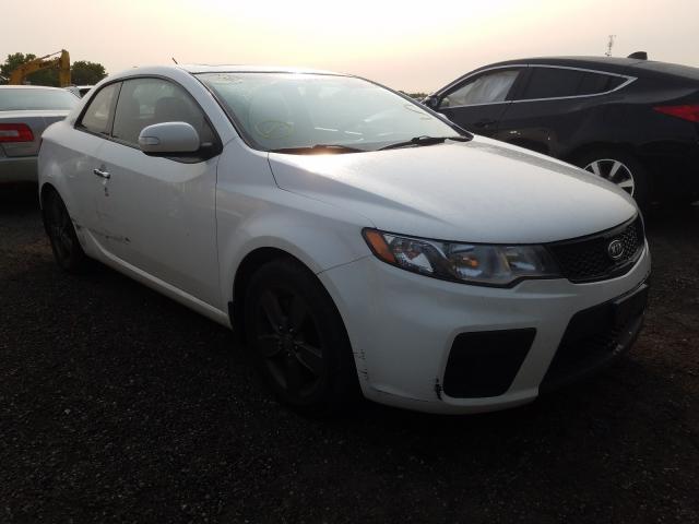 KIA FORTE EX 2010 knafu6a24a5103358