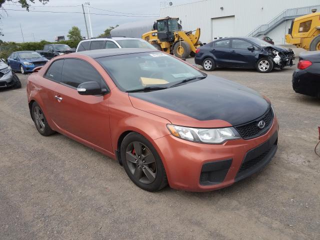 KIA FORTE EX 2010 knafu6a24a5104476