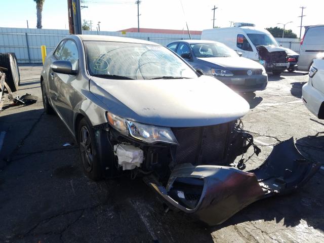 KIA FORTE EX 2010 knafu6a24a5142368