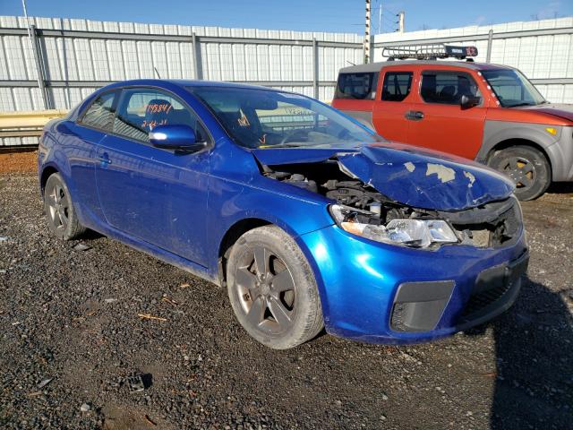 KIA FORTE EX 2010 knafu6a24a5160482