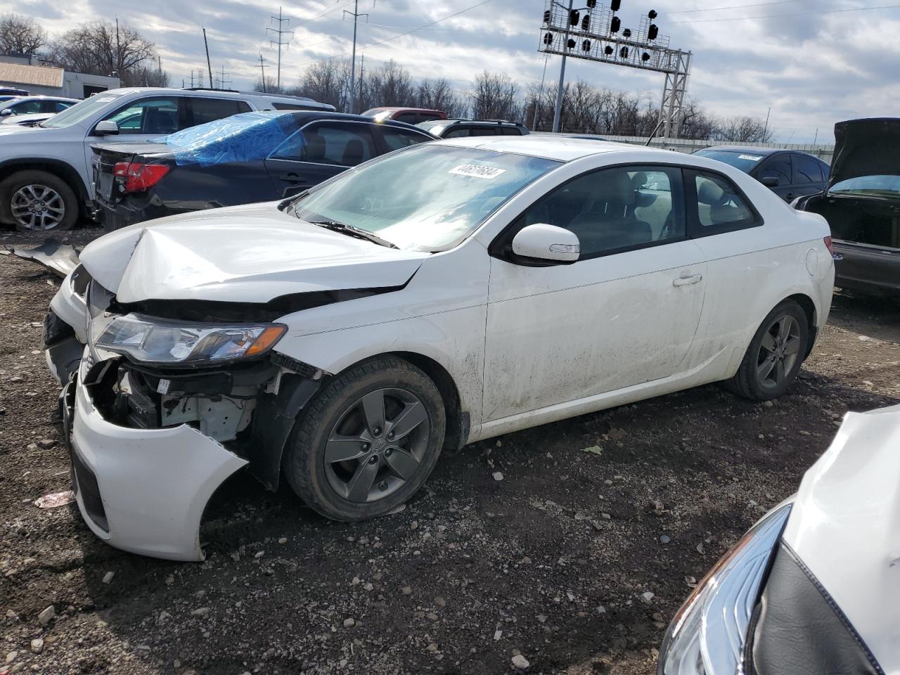 KIA FORTE 2010 knafu6a24a5161339