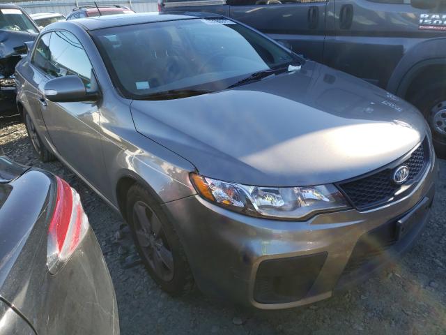 KIA FORTE EX 2010 knafu6a24a5207560