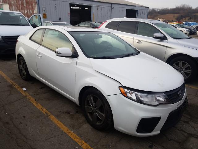 KIA FORTE EX 2010 knafu6a24a5244821