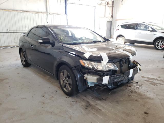 KIA FORTE EX 2010 knafu6a24a5256368