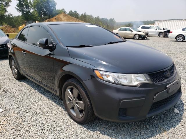 KIA FORTE EX 2010 knafu6a24a5271842