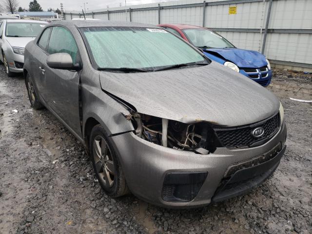 KIA FORTE EX 2011 knafu6a24b5355094