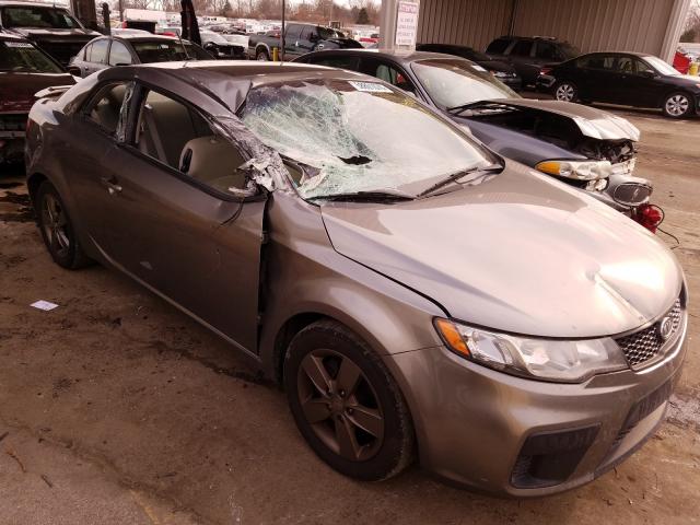 KIA FORTE EX 2012 knafu6a24c5599099