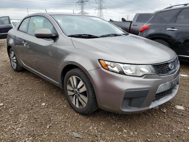 KIA FORTE EX 2013 knafu6a24d5656662