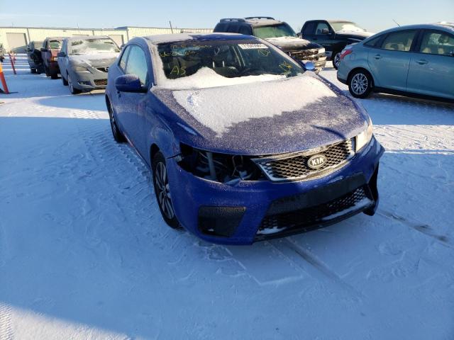 KIA FORTE EX 2013 knafu6a24d5668486