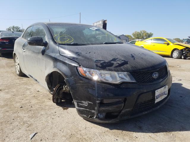 KIA FORTE EX 2013 knafu6a24d5669847