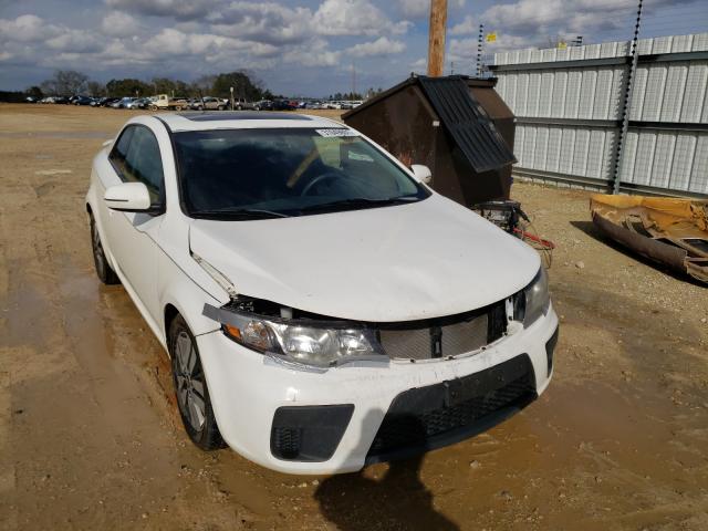 KIA FORTE EX 2013 knafu6a24d5743350