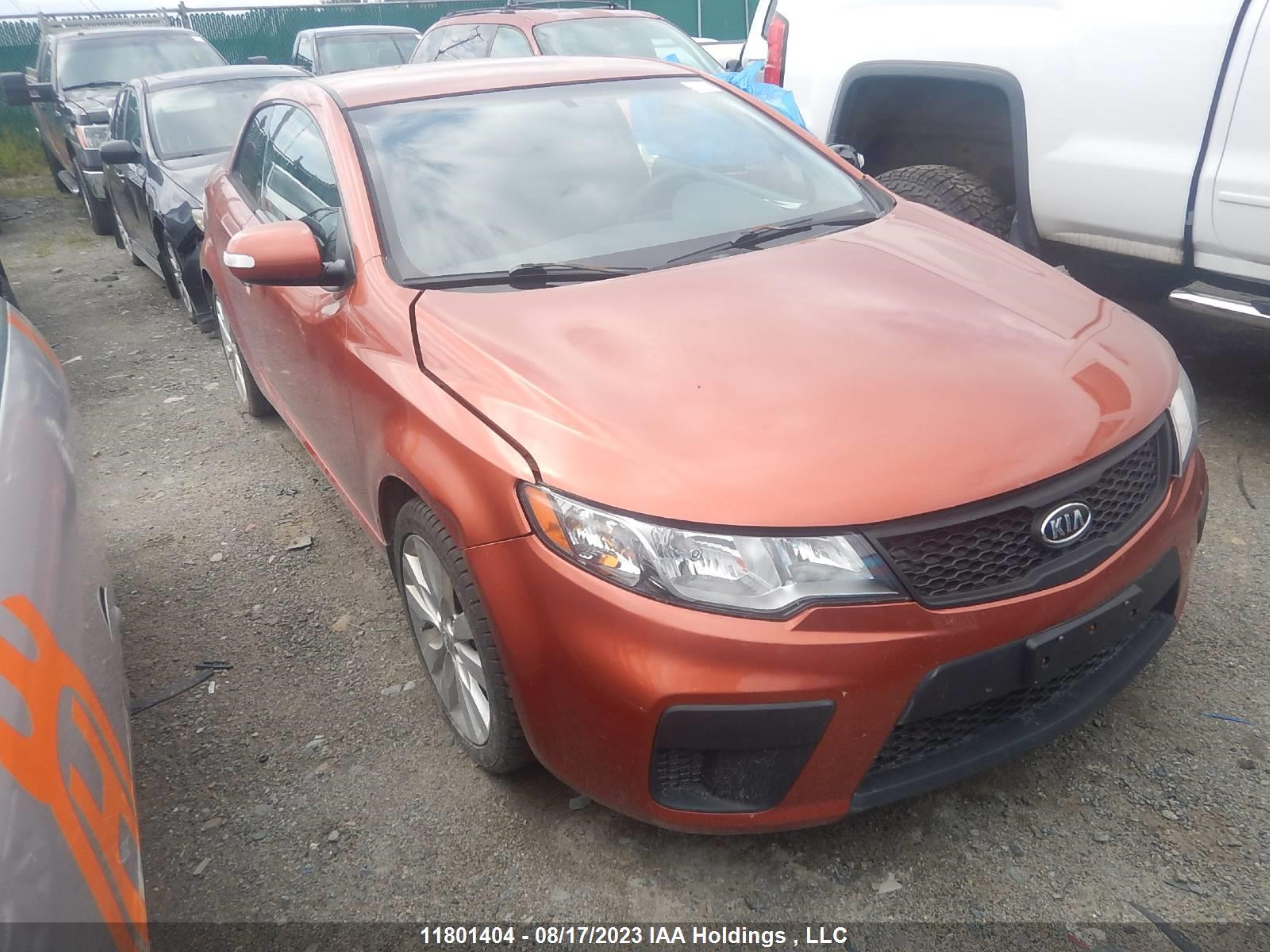 KIA FORTE 2010 knafu6a25a5104471