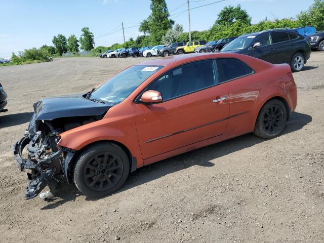 KIA FORTE 2010 knafu6a25a5130620