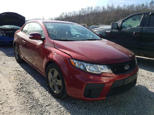 KIA FORTE EX 2010 knafu6a25a5132920