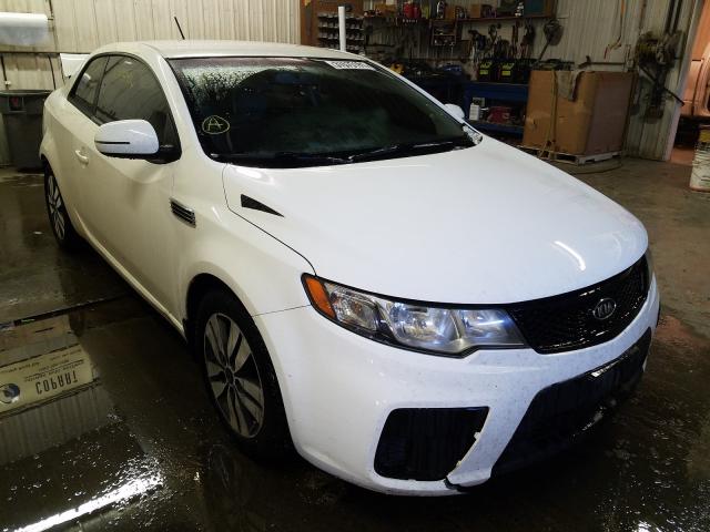 KIA FORTE EX 2013 knafu6a25d5656489