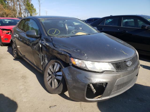 KIA FORTE EX 2013 knafu6a25d5709109