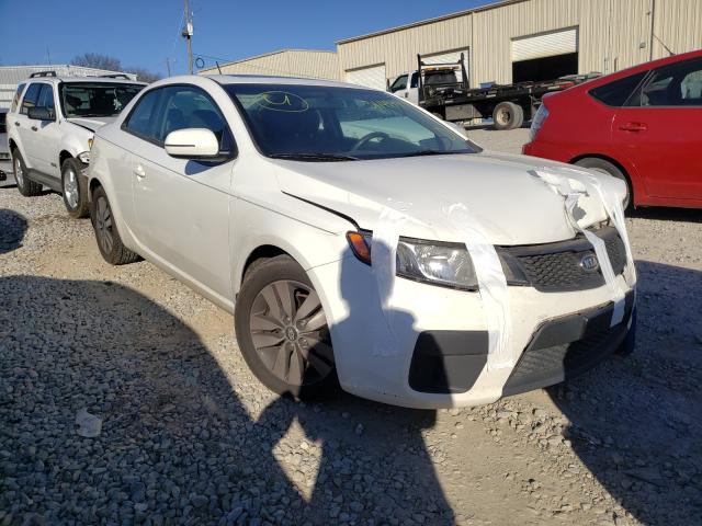 KIA FORTE EX 2013 knafu6a25d5712625