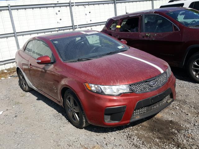 KIA FORTE EX 2010 knafu6a26a5295611