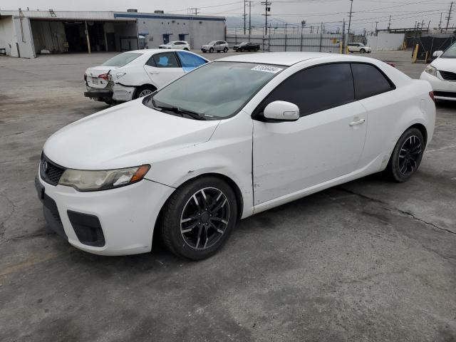 KIA FORTE 2010 knafu6a27a5126598