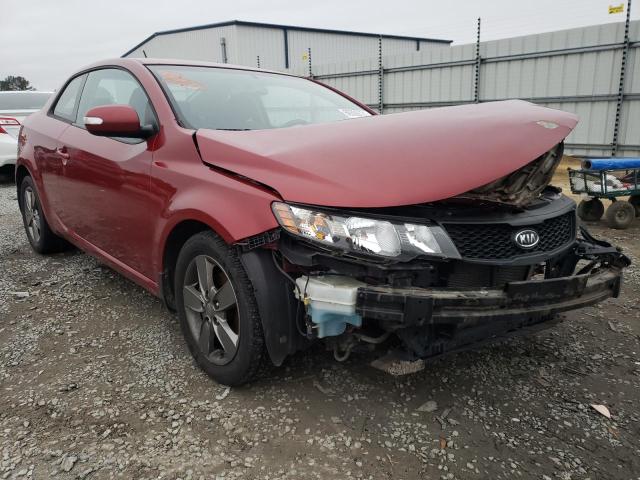 KIA FORTE EX 2010 knafu6a27a5129758