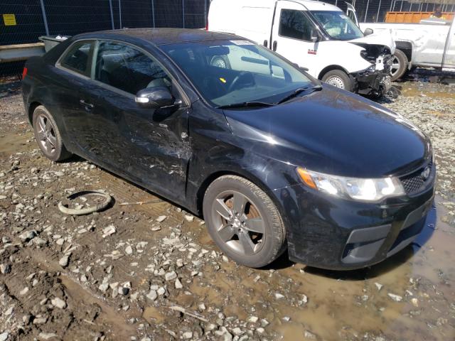 KIA FORTE EX 2010 knafu6a27a5167278