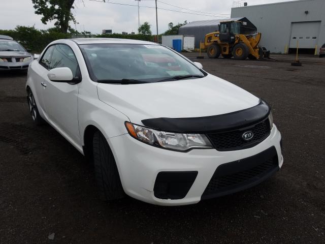 KIA NULL 2010 knafu6a27a5248765