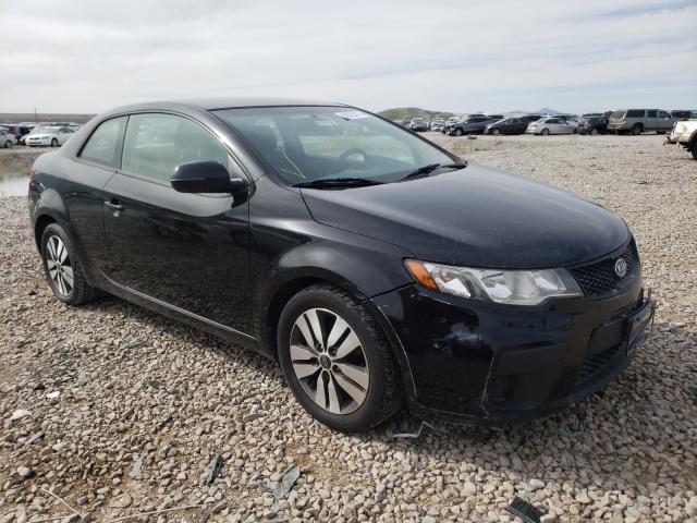 KIA FORTE EX 2011 knafu6a27b5317858