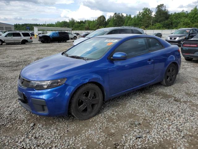 KIA FORTE 2010 knafu6a28a5165538