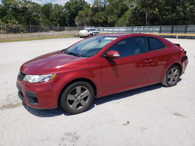 KIA FORTE 2010 knafu6a28a5165670