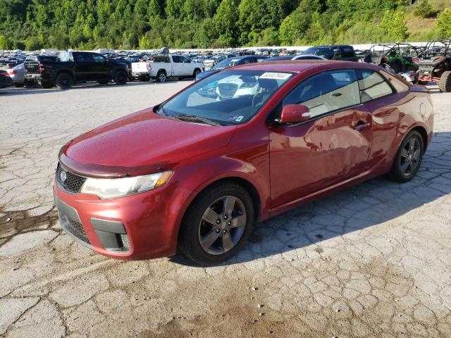 KIA FORTE 2010 knafu6a28a5167547