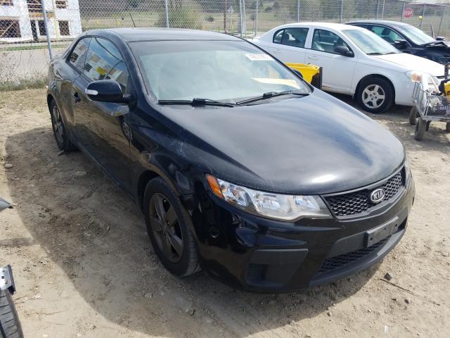 KIA FORTE EX 2010 knafu6a28a5249889