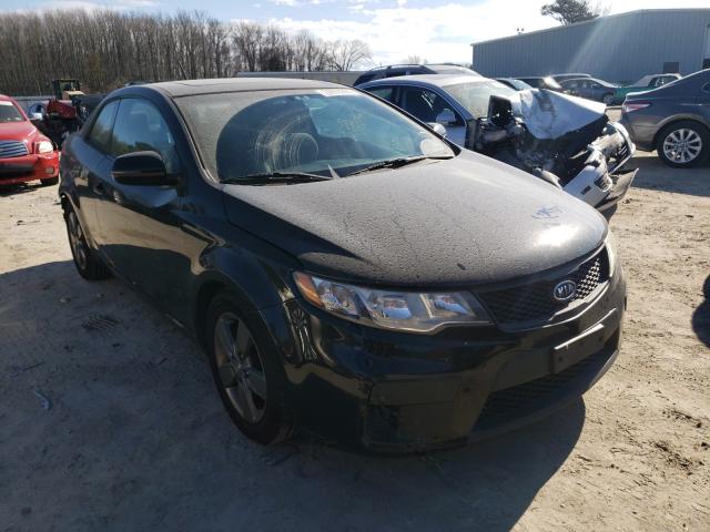 KIA FORTE EX 2011 knafu6a28b5355034