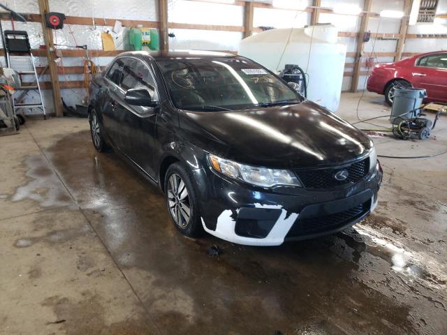 KIA FORTE EX 2013 knafu6a28d5709265