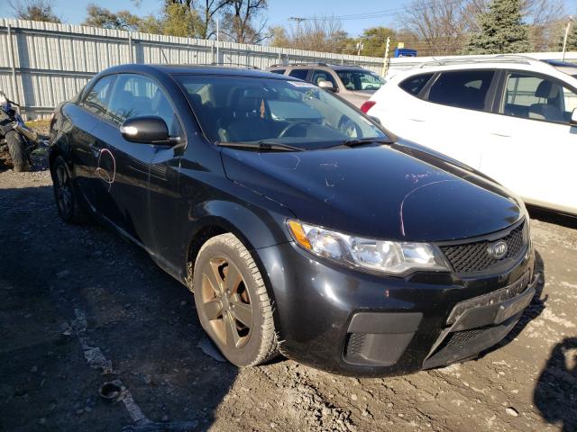 KIA FORTE EX 2010 knafu6a29a5112539