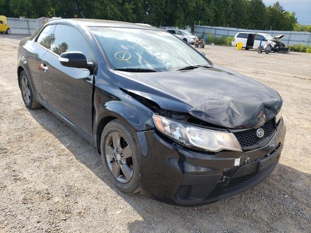 KIA FORTE EX 2010 knafu6a29a5217792