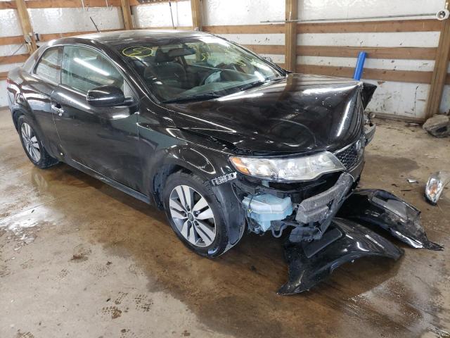 KIA FORTE EX 2013 knafu6a29d5659735