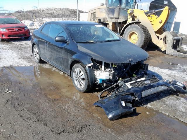 KIA FORTE EX 2013 knafu6a29d5703992