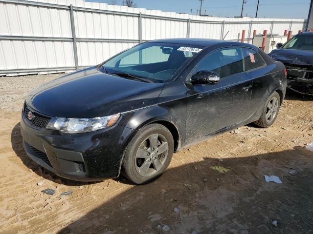 KIA FORTE 2010 knafu6a2xa5272607