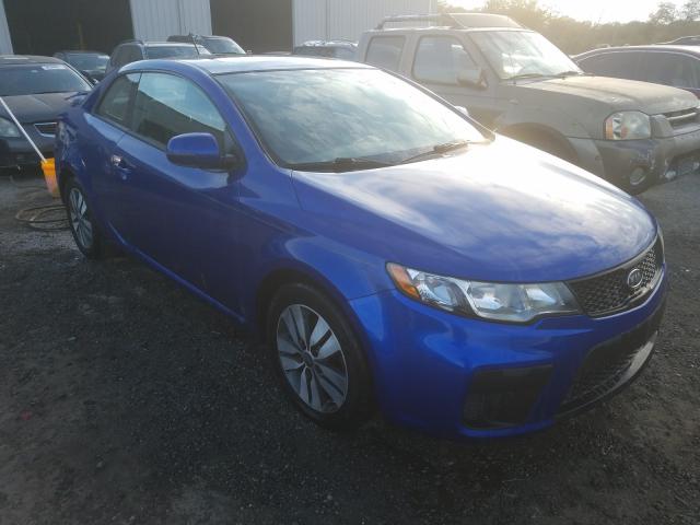 KIA FORTE EX 2013 knafu6a2xd5679816