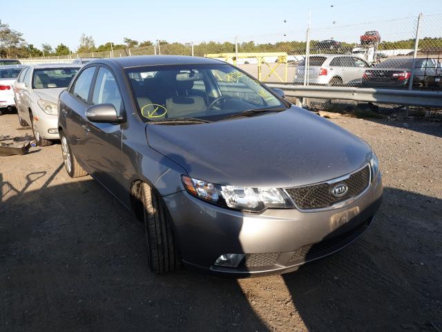 KIA FORTE SX 2010 knafw4a30a5109892