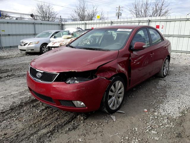 KIA FORTE SX 2010 knafw4a30a5119354