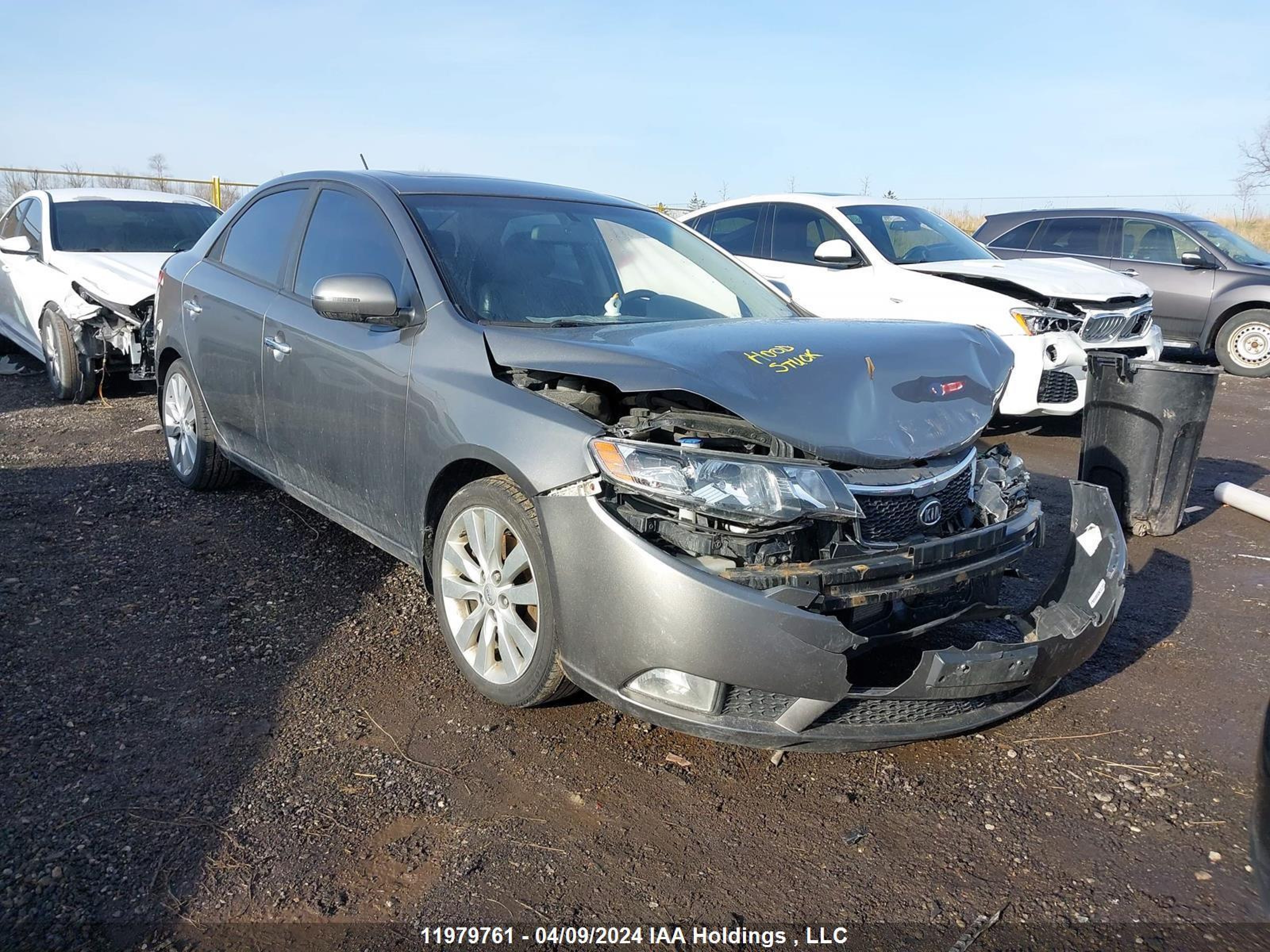 KIA FORTE 2011 knafw4a30b5448914