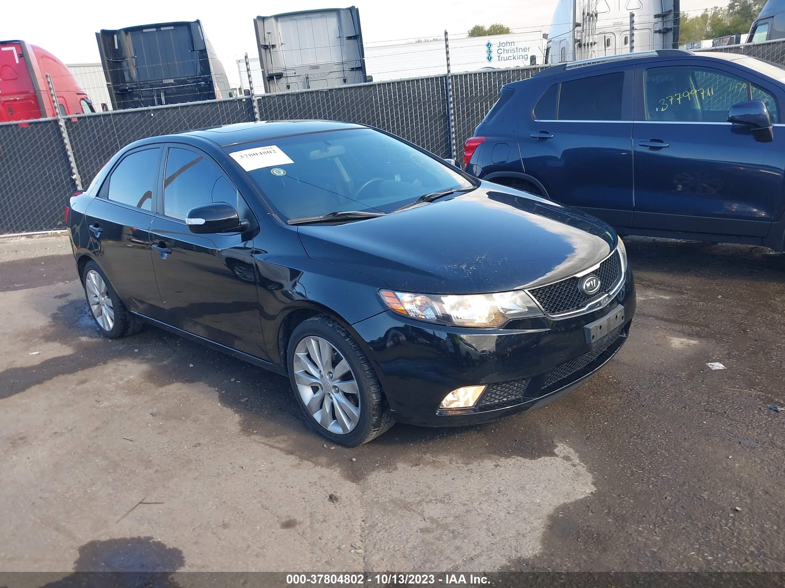 KIA FORTE 2010 knafw4a31a5064784