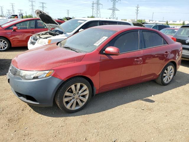 KIA FORTE SX 2011 knafw4a31b5349213