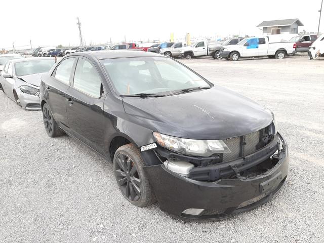 KIA FORTE SX 2010 knafw4a32a5068231