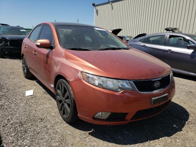 KIA FORTE SX 2010 knafw4a32a5117301