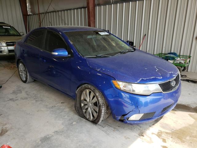 KIA FORTE SX 2010 knafw4a33a5073339